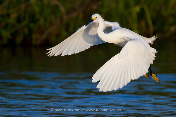Low Approach