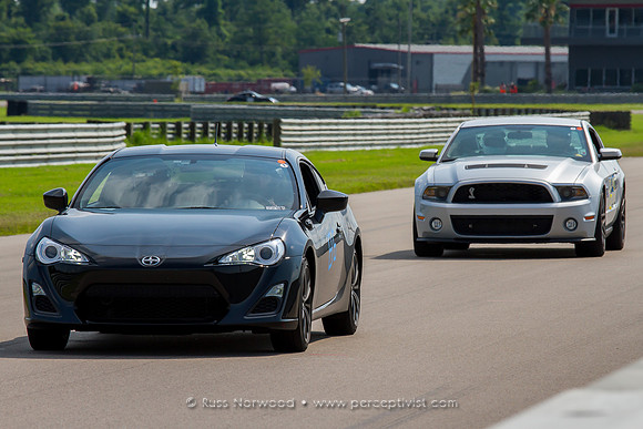 Scion and Mustang