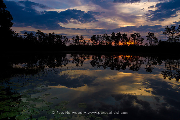 Blanding Raiford Greenway Sunrise