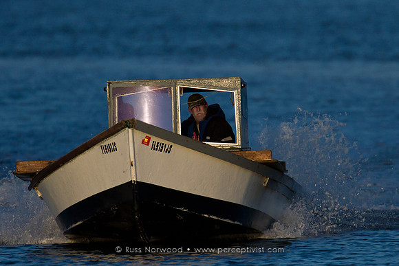 Apalachicola Oysterman