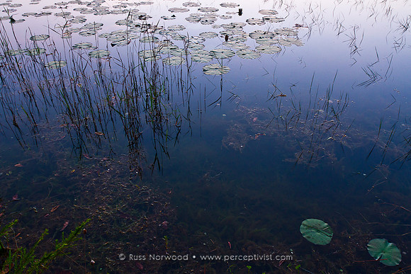 Reflections