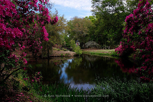 Buddha's Shrine, Avery Island