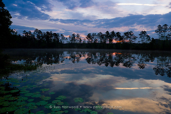 Blanding Raiford Greenway Sunrise